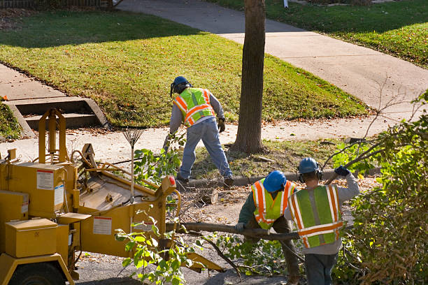 Best Storm Damage Tree Cleanup  in Leavittsburg, OH